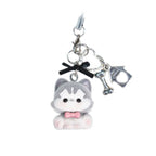 Where can I hang my phone on a lanyard  hs0224